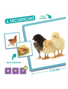 Maxi-secuencias naturales 2