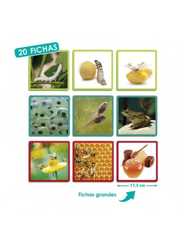 Maxi-secuencias naturales