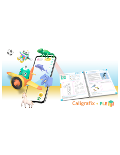 balancin-playgroup-pleiq 2