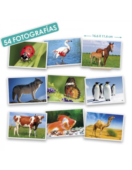Fotos animales
