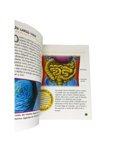 Nuestro cuerpo: ¿Tienes hambre?