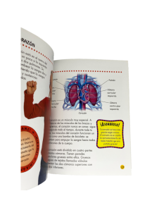 Nuestro cuerpo: ¿Es roja mi sangre? 2