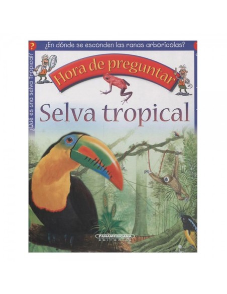Hora de preguntar: Selva tropical