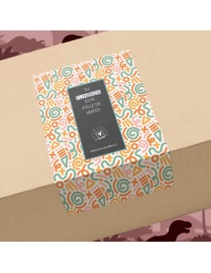 Box Dinosaurios Maravillosos: Triceratops