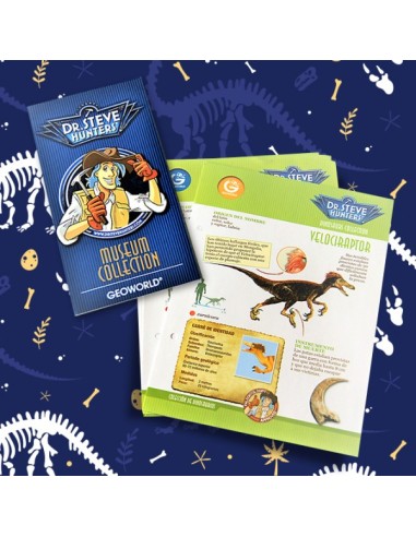 Box Dinosaurios Maravillosos: Velociraptor