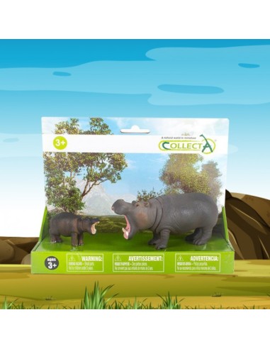 Box Hipopotamo Peleón