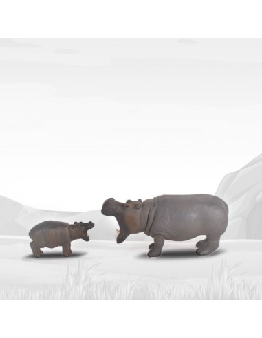 Box Hipopotamo Peleón