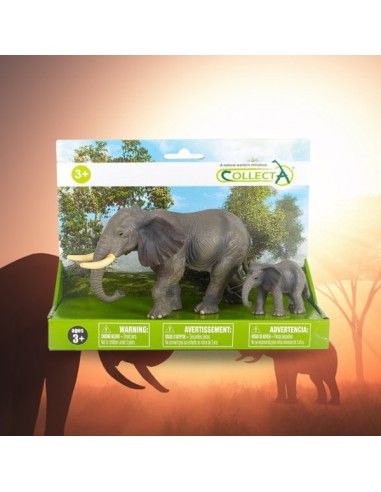 Box Elefante al Africa