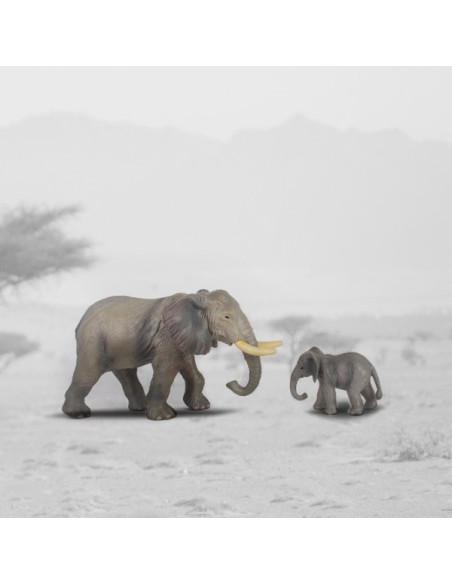 Box Elefante al Africa