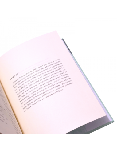 la memoria de babel pasaespejo