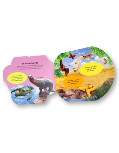 Aventuras mágicas con los animales