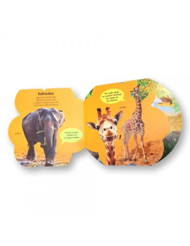 Aventuras mágicas con los animales