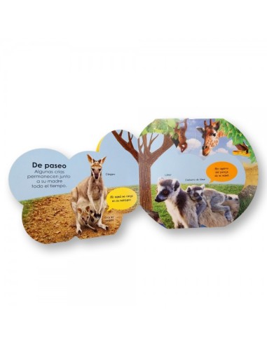 Aventuras mágicas con los animales