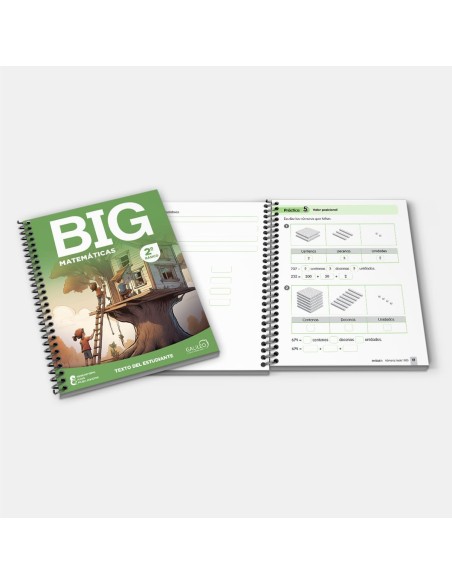 BIG Matematicas