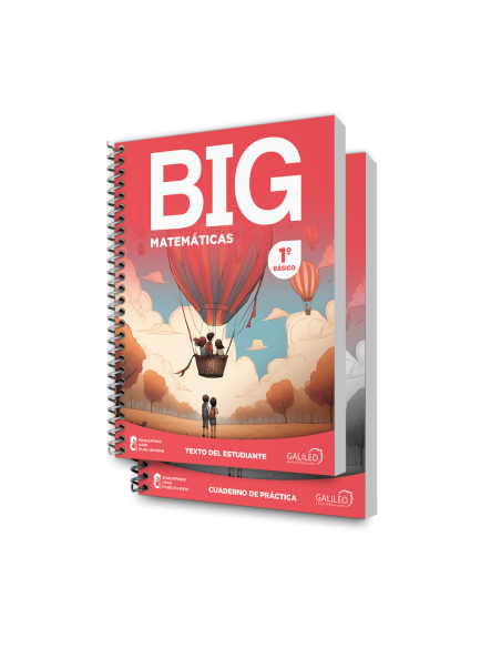 BIG Matematicas