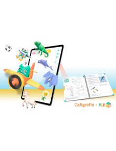 balancin-playgroup-pleiq 2