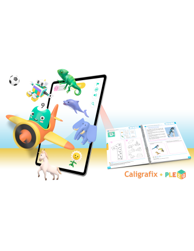 balancin-playgroup-pleiq
