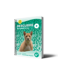 Descubre+ Matemáticas - 6° Básico