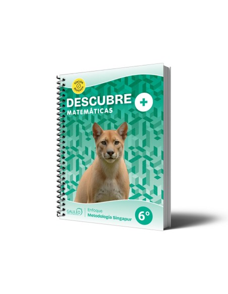 Descubre+ Matemáticas - 6° Básico