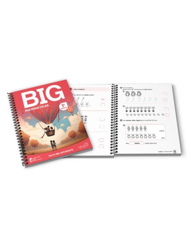 BIG Matematicas