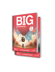 BIG Matematicas