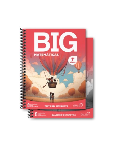 BIG Matematicas