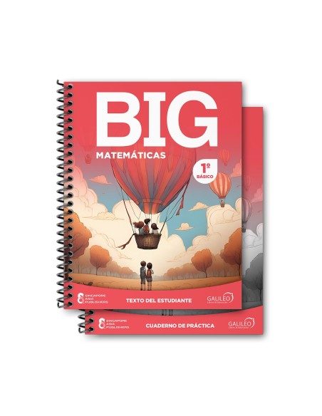 BIG Matematicas