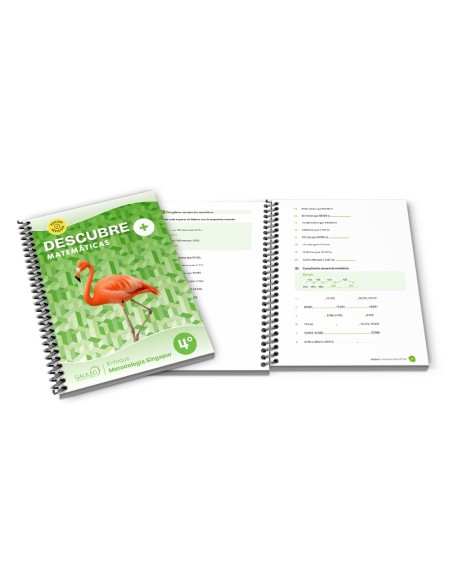 Descubre+ Matemáticas - 4° Básico
