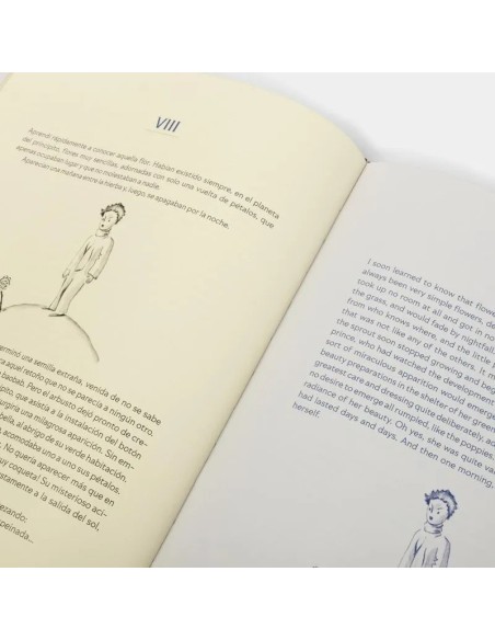 El principito – The Little Prince