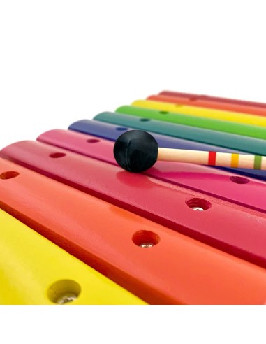 Xilofono Colorido 12 Notas Svoora