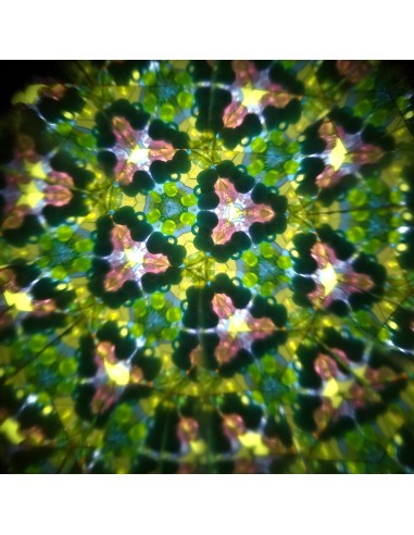 Caleidoscopio Mundo Forestal - Longitud 19 cm