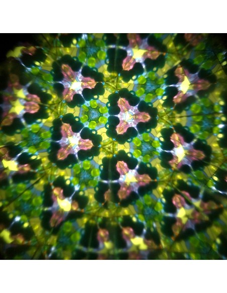 Caleidoscopio Mundo Forestal - Longitud 19 cm