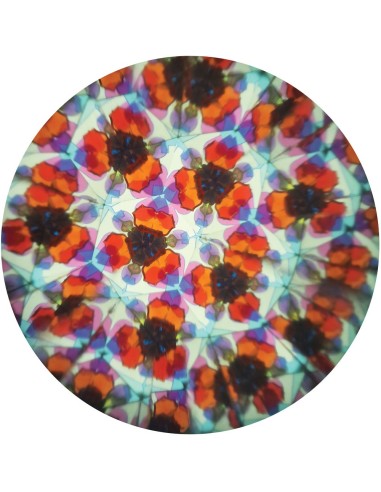 Caleidoscopio Giratorio Caballero