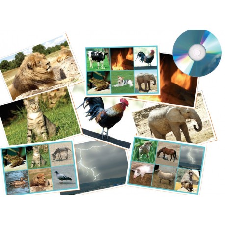 Bingo 25 sonidos: animales - naturaleza + cd