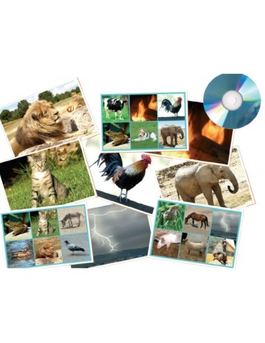 Bingo 25 sonidos: animales - naturaleza + cd